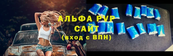 ешки Богданович
