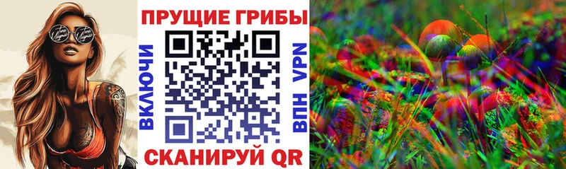 Галлюциногенные грибы Psilocybe Жуковка